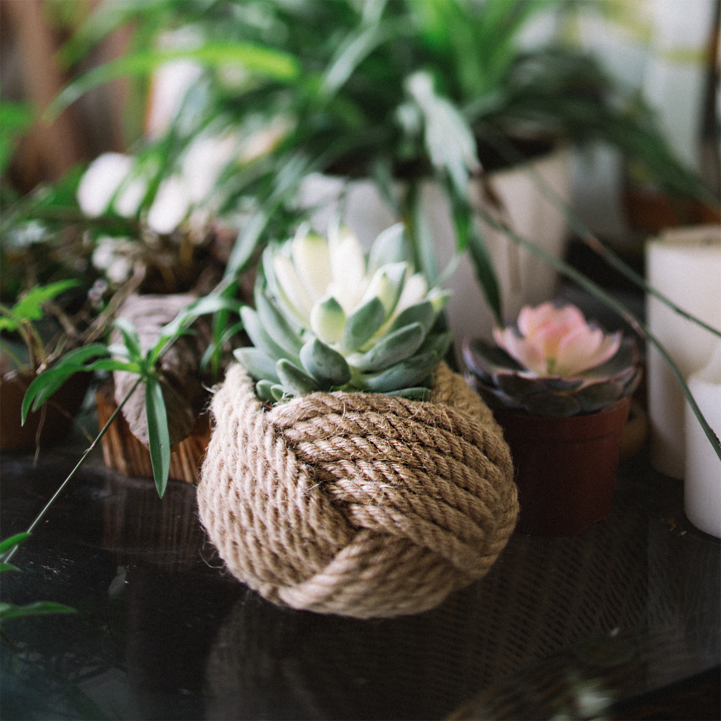 Monkey Knot Planter